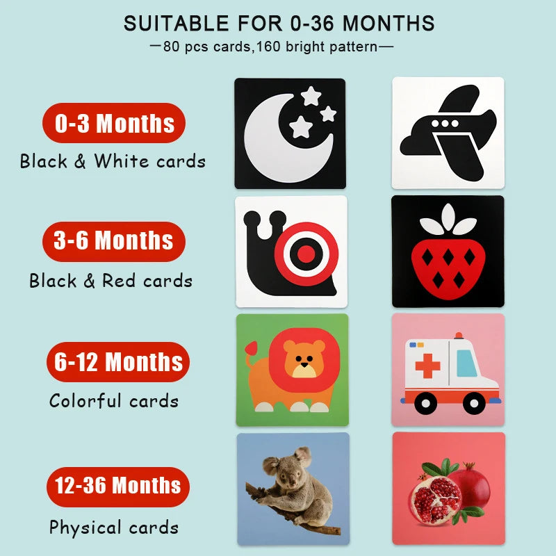 BrightStart™ Baby Vision Cards Set